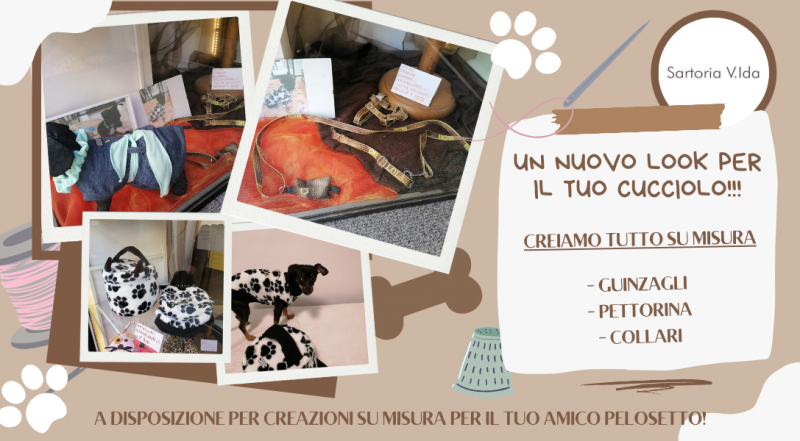 Offerta guinzagli pettorine cani su misura Borgomanero Novara – occasione collari cappottini cani fatti a mano Borgomanero Novara