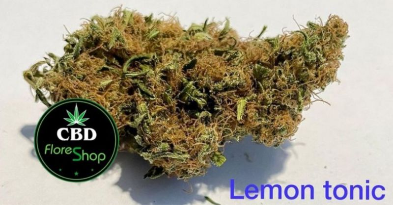 CBD FLORES SHOP - Occasione vendita online migliori prodotti CBD di origine italiana 0,5% di THC