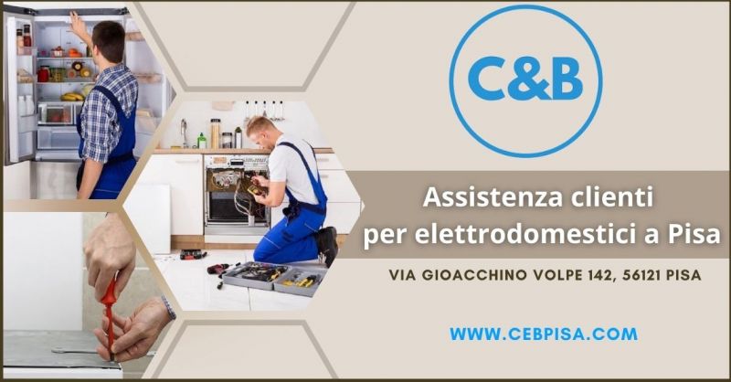 offerta rivenditori elettrodomestici Pisa - occasione rivenditori autorizzati Electrolux
