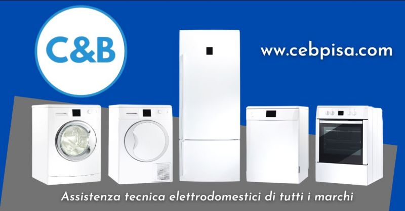 offerta assistenza tecnica elettrodomestici fuori garanzia Pisa