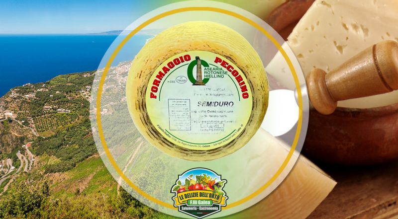 Offerta vendita online formaggio pecorino  Chiellino Crotonese Semiduro - Le Delizie dell Orto