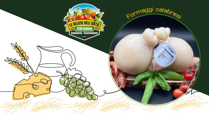 Offerta formaggi stagionati e freschi vendita online - promozione formaggi artigianali tipici calabresi online
