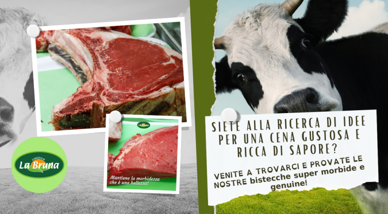 Occasione produzione vendita carne alta qualità a Chieti Vasto – offerta macelleria prodotti freschi a Chieti Vasto