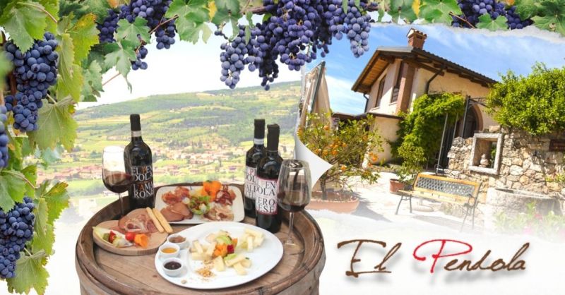 Offerta cantina con degustazione vini Valpolicella - Promozione alloggio con degustazione vini Veneto