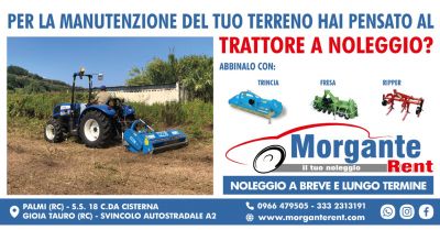  occasione noleggio trattore per manutenzione terreno promozione noleggio trattore a breve e lungo termine reggio calabria