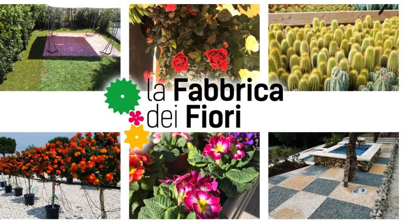  Offerta coltivazione piante e fiori serra San Benedetto del Tronto - promozione cura parchi e San Benedetto del Tronto