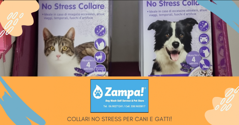 Offerta vendita collari No Stress per cani e gatti negozio animali Valmontone