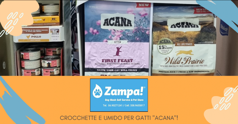 Offerta vendita linea crocchette e umido per gatti Acana negozio animali Valmontone