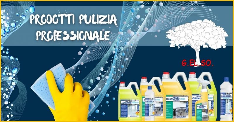 offerta prodotti professionali per pulizia Versilia - GELSO