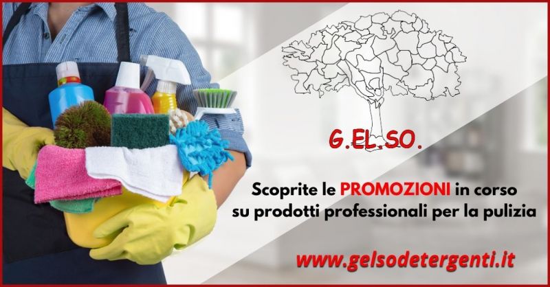 occasione prodotti per la pulizia degli ambienti di lavoro e privati Versilia - GELSO