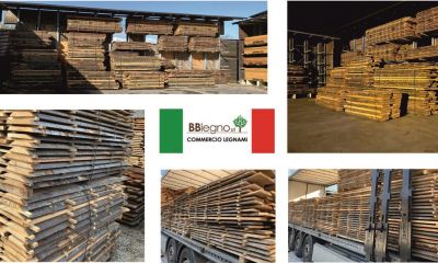 offerta vendita legno di faggio proveniente dalla croazia per settore falegnameria arredo nautica