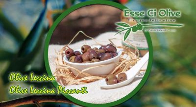 offerta olive leccina tradizionali e piccanti vendita online promozione olive leccina piccanti denocciolate bari