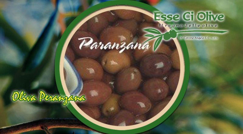 OFFERTA TIPICHE NOSTRANE OLIVE PERANZANA INTERA DA TAVOLA BARI - PROMOZIONE OLIVE PUGLIESI DA TAVOLA PERANZANA DENOCCIOLATE BARI