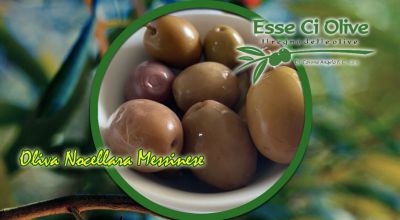 offerta nocellara messinese olive da tavola bari promozione vendita olive da aperitivo nocellara messinese bari