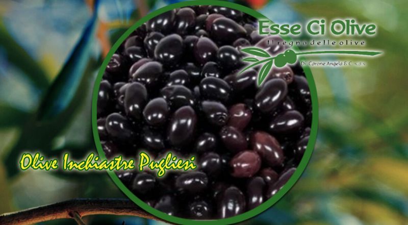 OFFERTA  OLIVE IN SALAMOIA RICETTA PUGLIESE - PROMOZIONE OLIVE NERE PUGLIESI IN SALAMOIA BARI