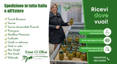 occasione spedizione olive pugliesi all estero promozione olive pugliesi spedizione in tutta italia