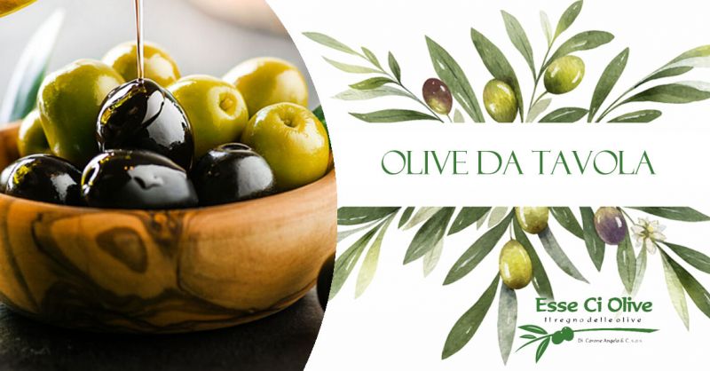  OFFERTA  PRODUZIONE OLIVE DA TAVOLA ITALIANE BOLOGNA – PROMOZIONE PRODUZIONE OLIVE ESTERE DA TAVOLA BOLOGNA