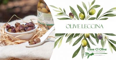  occasione olive leccina piccanti in salamoia intere online bologna offerta olive leccina piccanti a rondelle bologna