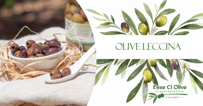   OCCASIONE  OLIVE LECCINA PICCANTI IN SALAMOIA INTERE ONLINE BOLOGNA – OFFERTA OLIVE LECCINA PICCANTI A RONDELLE BOLOGNA