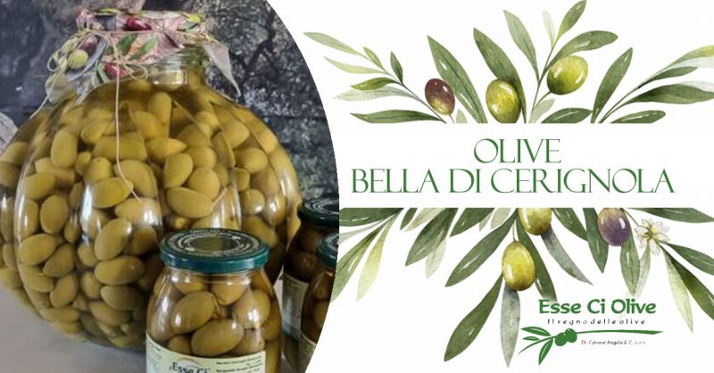  OFFERTA OLIVE VERDI BELLA DI CERIGNOLA  BOLOGNA- PROMOZIONE OLIVE VERDI BELLA DI CERIGNOLA  VENDITA ONLINE PRODOTTI PUGLIESI BOLOGNA