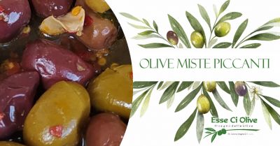  occasione olive miste piccanti verdi e nere shop online bologna offerta produzione olive miste verde e nere con peperoncino bologna
