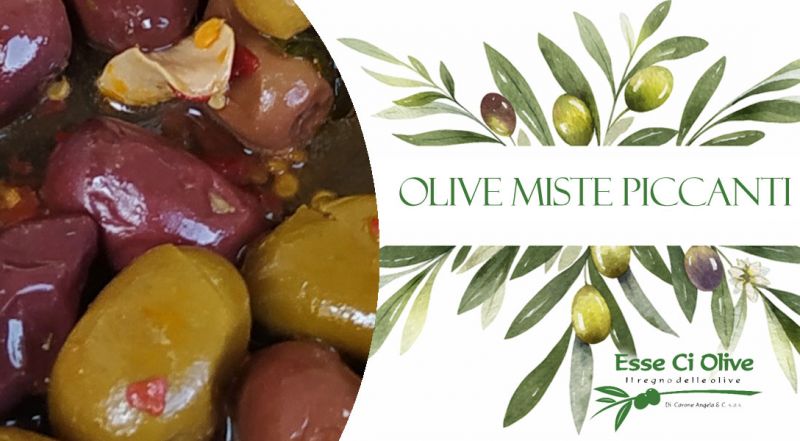 OCCASIONE OLIVE MISTE PICCANTI VERDI E NERE BOLOGNA – OFFERTA PRODUZIONE OLIVE MISTE CON PEPERONCINO  BOLOGNA