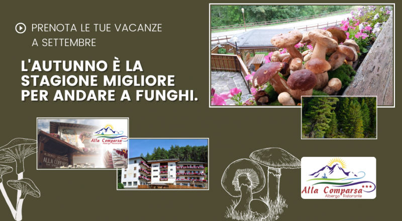Offerta vacanza in montagna in autunno Trento – Occasione zona di funghi hotel Pergine Valsugana Trento