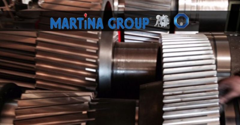 Martina Group Srl - Occasione azienda leader Torinese specializzata in costruzione riduttori