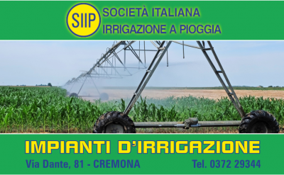 offerta installazione sistemi dirrigazione per lagricoltura occasione impianti irrigazione agricoltura