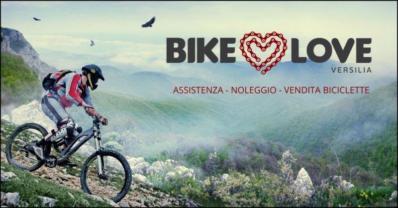 offerta noleggio e vendita biciclette Versilia e Lucca - BIKE E LOVE