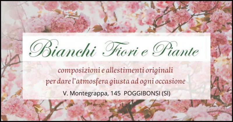 BIANCHI FIORI E PIANTE - offerta fioraio vendita fiori e piante Siena