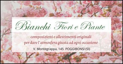 BIANCHI FIORI E PIANTE - offerta fioraio vendita fiori e piante Siena