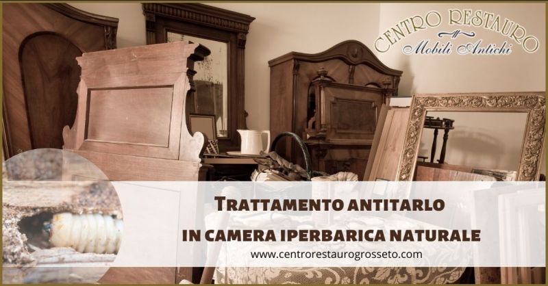 occasione trattamento antitarlo in camera iperbarica naturale Grosseto - CENTRO RESTAURO