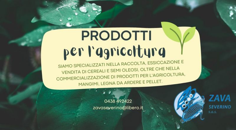 Offerta azienda specializzata vendita semi oleosi Treviso – occasione vendita prodotti per agricoltura Treviso