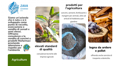  offerta essiccazione e vendita di cereali treviso occasione vendita semi oleosi treviso