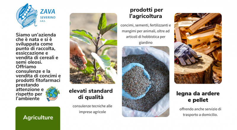  Offerta essiccazione e vendita di cereali Treviso – occasione vendita semi oleosi Treviso
