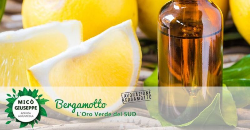 Offer online sale Bergamot Essential Oil for aromatherapy for wholesale made in Italy