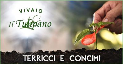 occasione vendita terricci e concimi professionali grosseto il tulipano