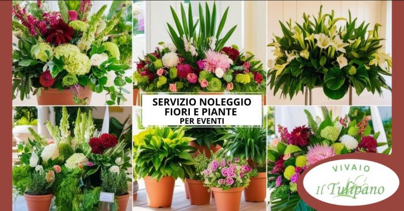 servizio noleggio fiori e piante per eventi