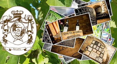 occasione cantina produzione vini di alta qualita