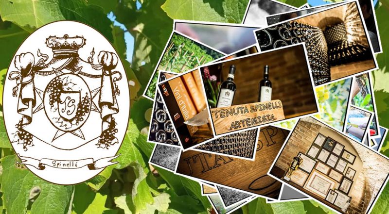 OFFERTA TENUTA PRODUZIONE VINI ASCOLI PICENO - PROMOZIONE CANTINA PRODUZIONE VINI ASCOLI PICENO