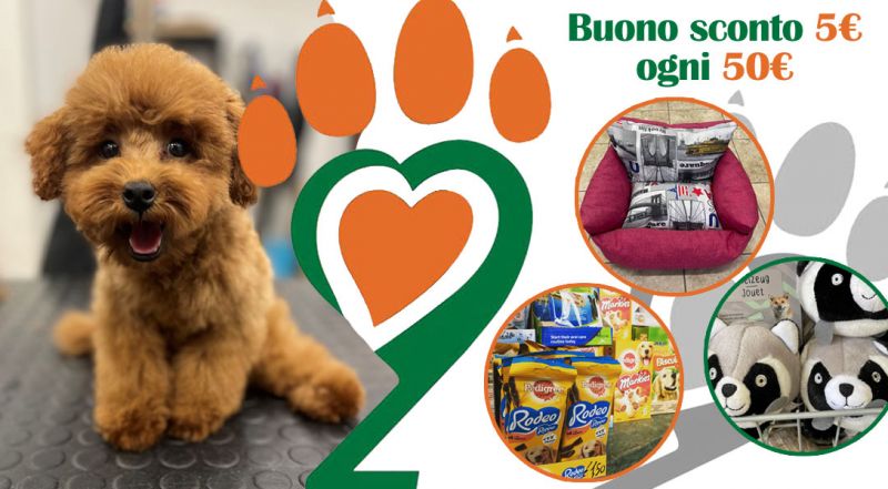   OFFERTA PRODOTTI PER ANIMALI CASTRIGNANO DE GRECI LECCE -PROMOZIONE BUONO SCONTO PRODOTTI E SERVIZI PER ANIMALI CASTRIGNANO DE GRECI LECCE