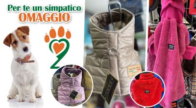 offerta abbigliamento per cani castrignano de greci lecce promozione vestitini per cani sartoriali castrignano de greci lecce