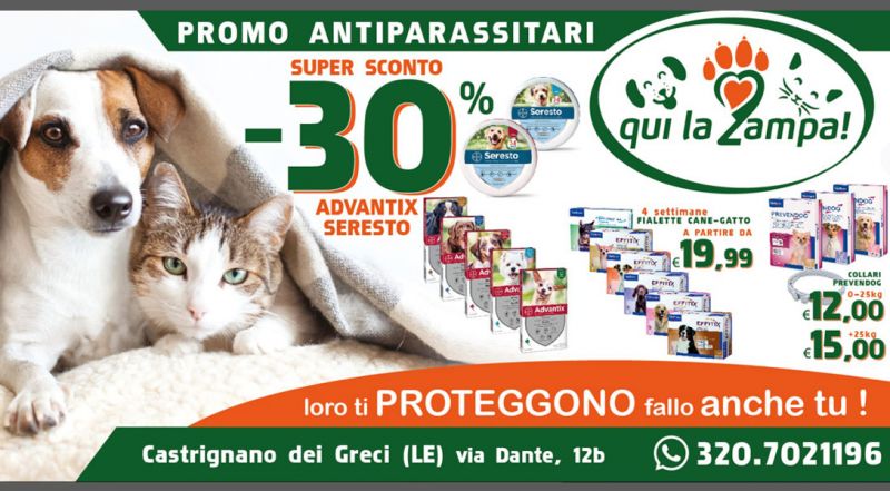  OFFERTA ANTIPARASSITARI PER CANE IN SCONTO CASTRIGNANO DE GRECI LECCE – PROMOZIONE SCONTO ANTIPARASSITARI PER GATTO CASTRIGNANO DE GRECI LECCE