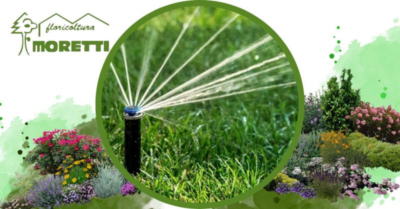 Floricoltura Moretti - Azienda esperta progettazione realizzazione impianti d'irrigazione Bergamo