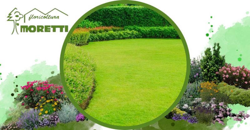 Floricoltura Moretti - Offerta posa cura manutenzione tappeti erbosi privati aziendali Bergamo