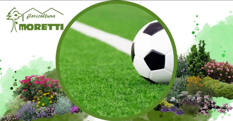 Offerta rigenerazione e risemina campo sportivo azienda specializzata Bergamo