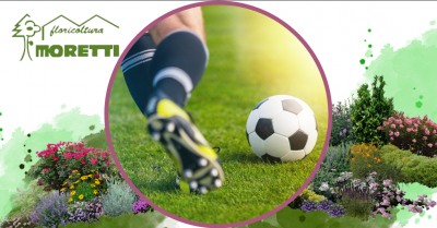 offerta servizio specializzato di posa cura e manutenzione campi sportivi in erba naturale bergamo