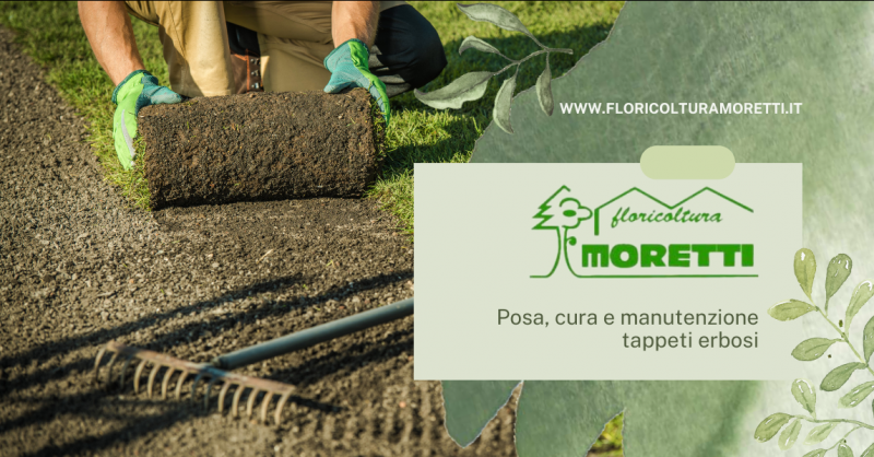 Offerta manutenzione tappeti erbosi con servizio di posa e cura rivolto a privati e aziende