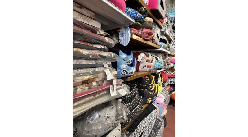 Offerta Super di cuscini e cucce per i tuoi cani e gatti